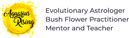 Evolutionary Astrologer, Counsellor & Mentor, Australian Bush Flower Practitioner & Teacher